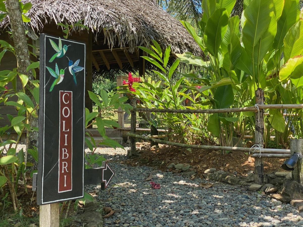 בוקס דל טורו Finca Vela Lodge מראה חיצוני תמונה