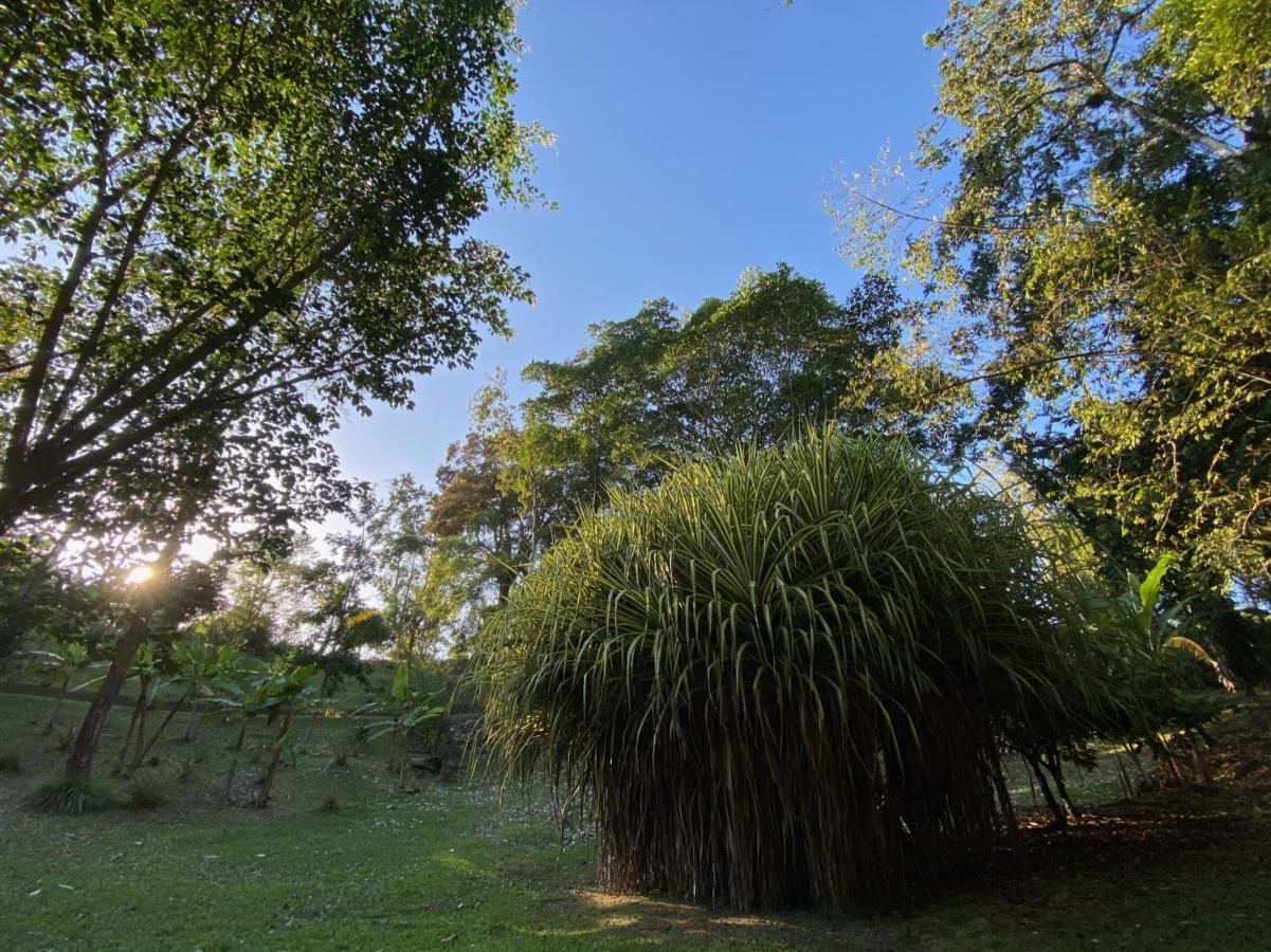 בוקס דל טורו Finca Vela Lodge מראה חיצוני תמונה