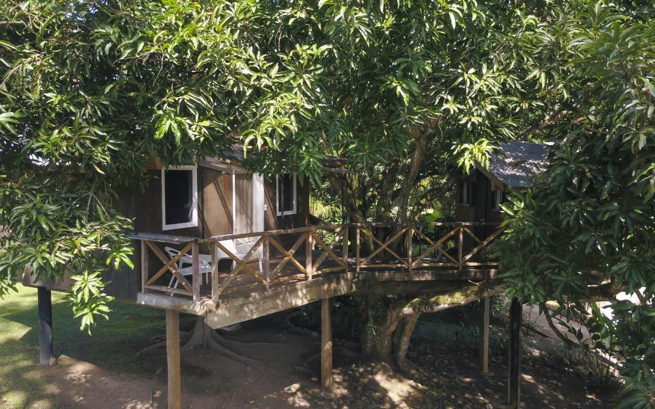 בוקס דל טורו Finca Vela Lodge מראה חיצוני תמונה