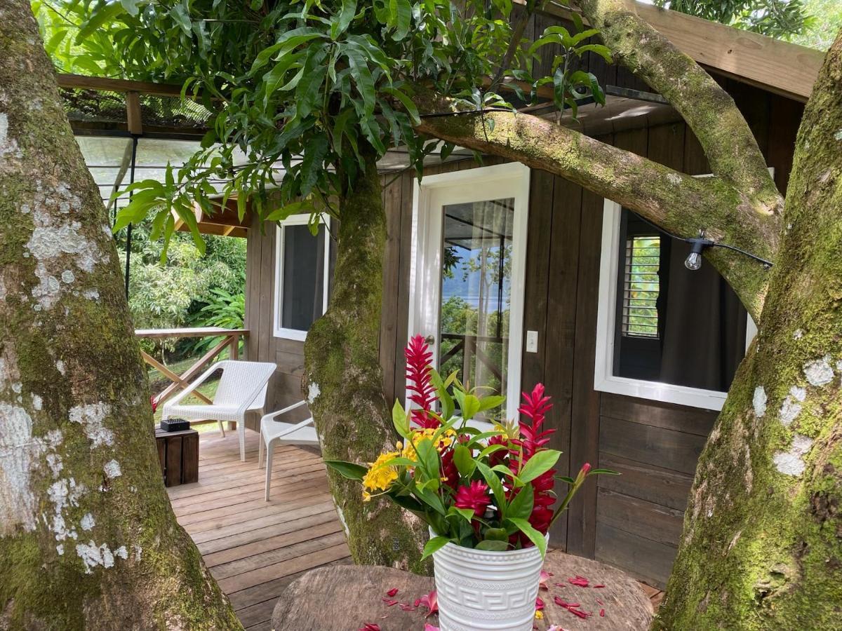 בוקס דל טורו Finca Vela Lodge מראה חיצוני תמונה