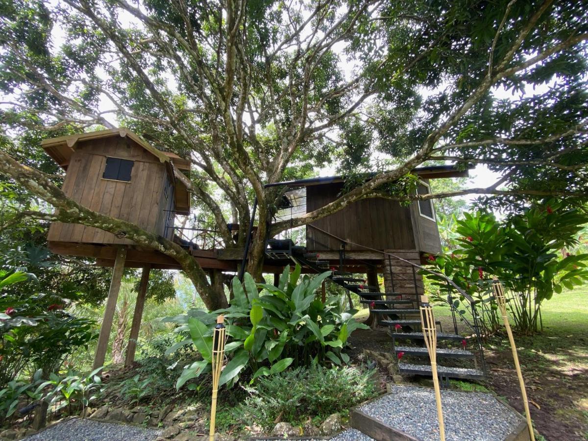 בוקס דל טורו Finca Vela Lodge מראה חיצוני תמונה
