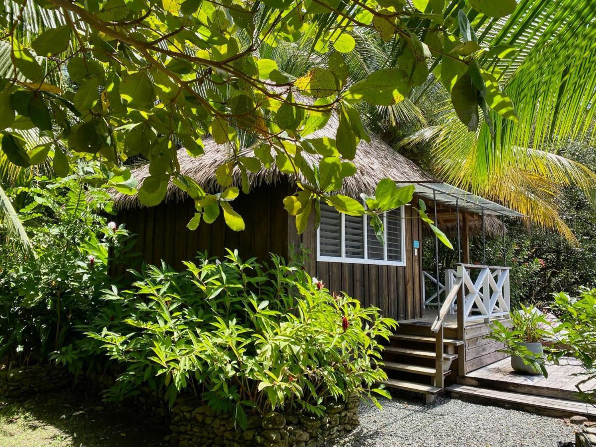 בוקס דל טורו Finca Vela Lodge מראה חיצוני תמונה