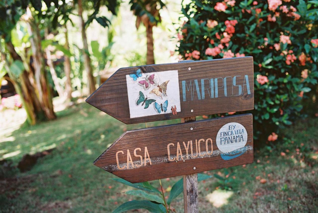 בוקס דל טורו Finca Vela Lodge מראה חיצוני תמונה