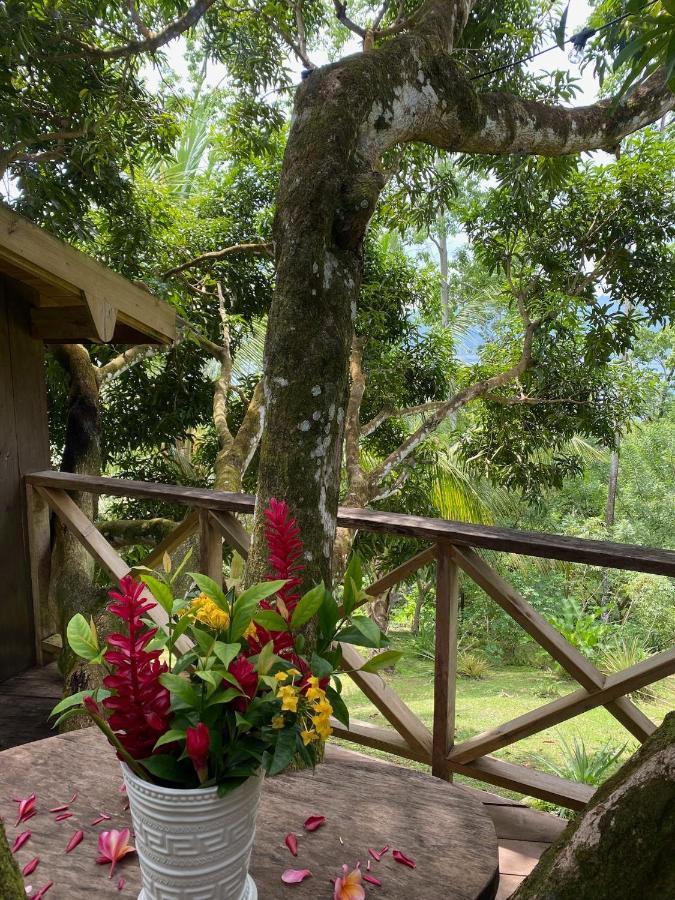 בוקס דל טורו Finca Vela Lodge מראה חיצוני תמונה