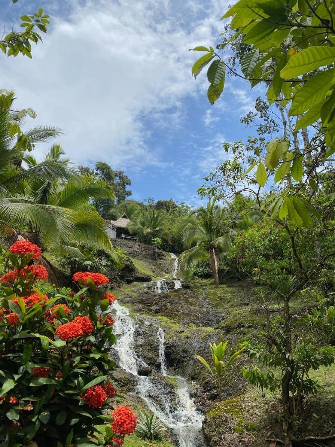 בוקס דל טורו Finca Vela Lodge מראה חיצוני תמונה