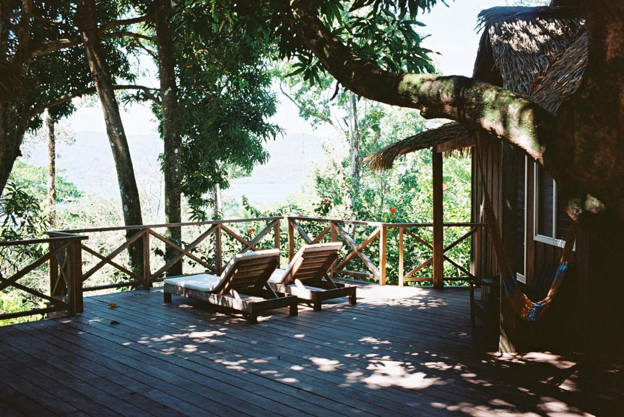 בוקס דל טורו Finca Vela Lodge מראה חיצוני תמונה