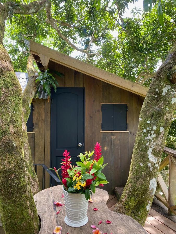 בוקס דל טורו Finca Vela Lodge מראה חיצוני תמונה