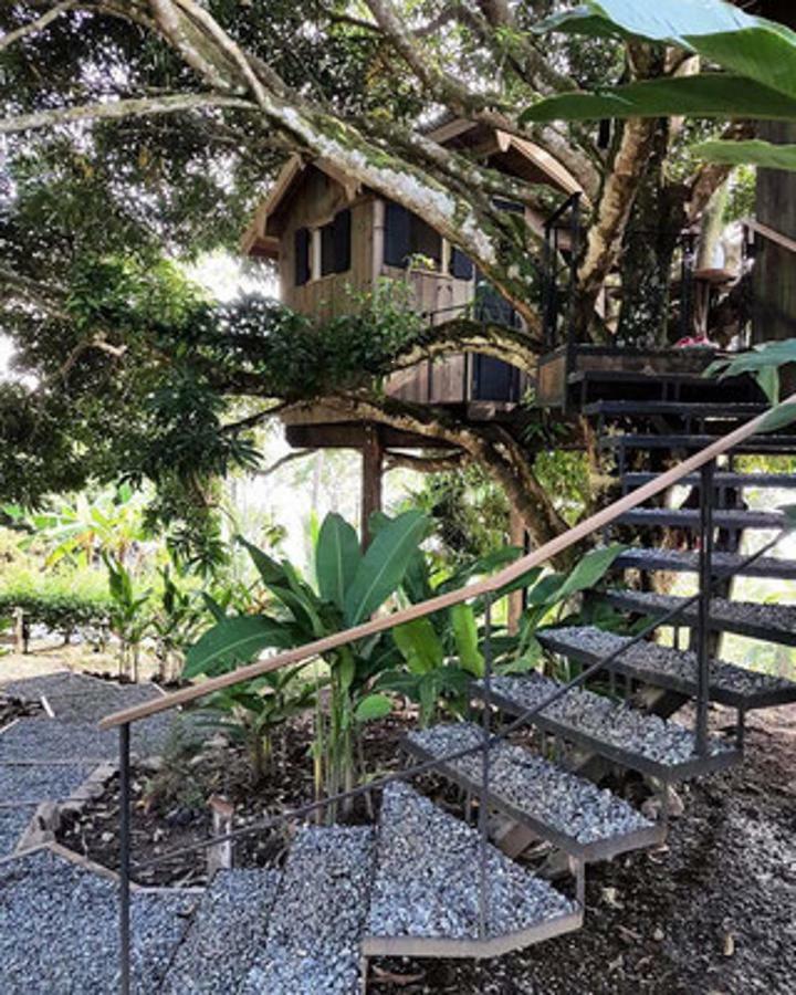 בוקס דל טורו Finca Vela Lodge חדר תמונה